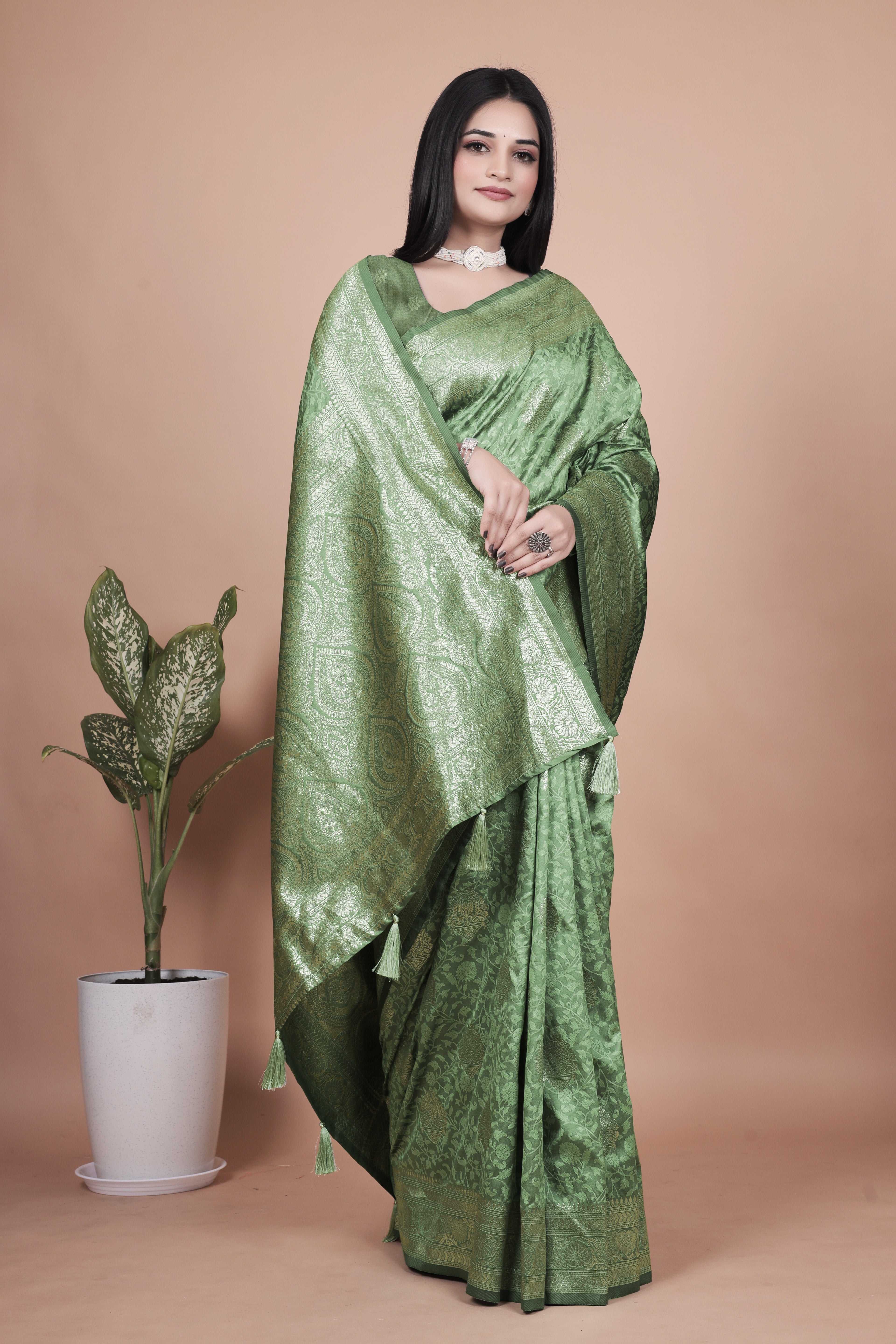 Banarasi Silk Saree with Gold Zari Butti & Ornate Pallu with 4 color option ✨💠